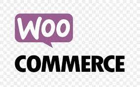 How to start a Wocommerence Business?
